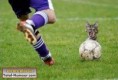 /album/mouhahaha/sport788-jpg/