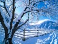 /album/nature/neige06-jpg/